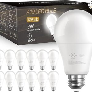 DAYBETTER 12 Pack A19 LED Light Bulbs, 60 Watt Equivalent LED Bulbs, Long Lifespan High Brightness 800LM Daylight White 5000K, E26 Standard Base Light Bulbs for Home Bedroom Office, Non-Dimmable
